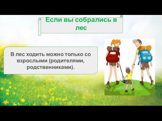 Если вы собрались в лес В лес ходить можно только со взрослыми (родителями, родственниками).