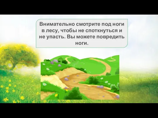 Внимательно смотрите под ноги в лесу, чтобы не споткнуться и не упасть. Вы можете повредить ноги.