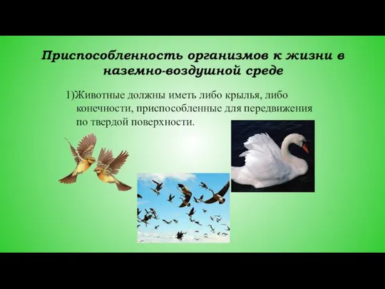 Приспособленность организмов к жизни в наземно-воздушной среде 1)Животные должны иметь либо
