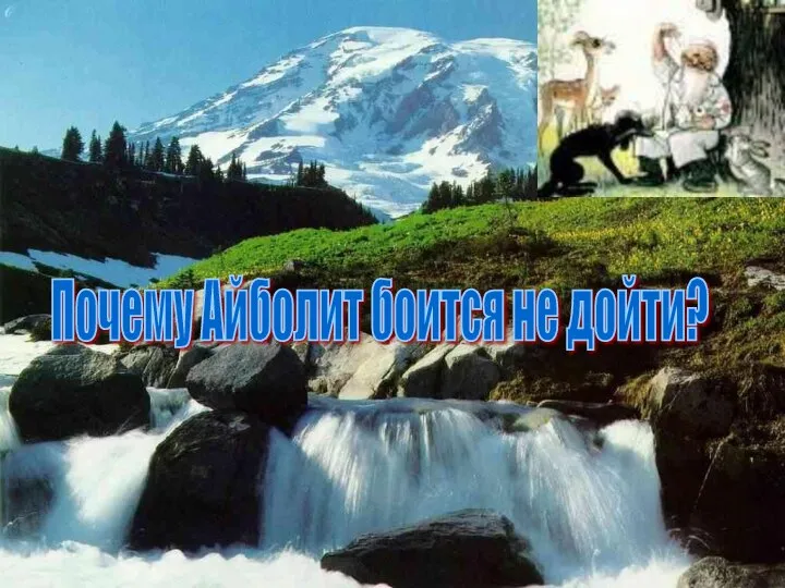 Почему Айболит боится не дойти?