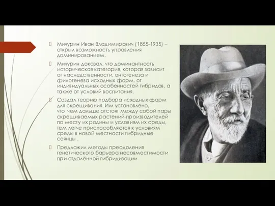 Мичурин Иван Владимирович (1855-1935) – открыл возможность управления доминированием. Мичурин доказал,