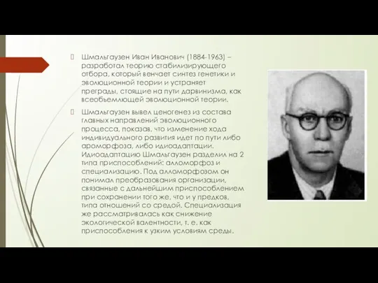 Шмальгаузен Иван Иванович (1884-1963) – разработал теорию стабилизирующего отбора, который венчает