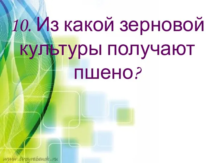 10. Из какой зерновой культуры получают пшено?