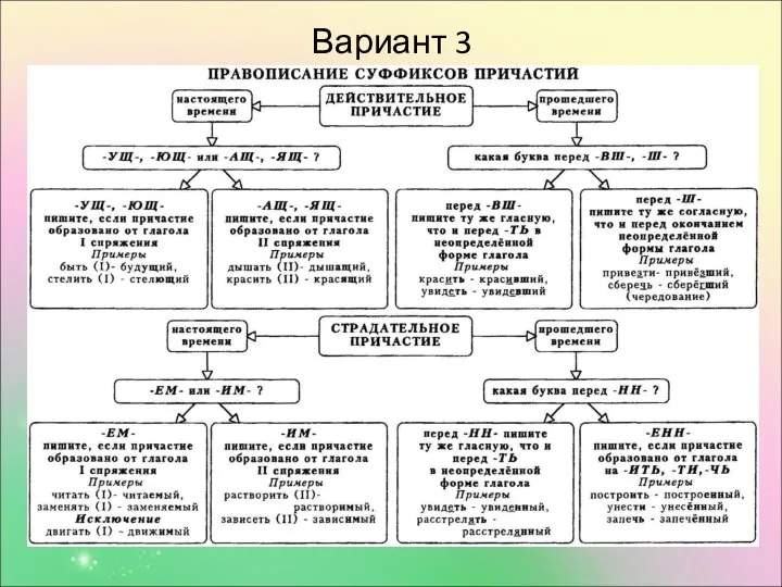 Вариант 3