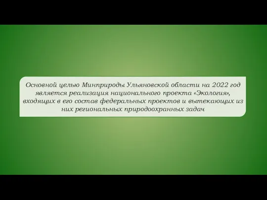 Основной целью Минприроды Ульяновской области на 2022 год является реализация национального