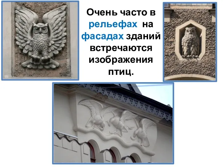 Очень часто в рельефах на фасадах зданий встречаются изображения птиц.