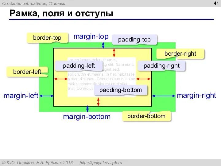 Рамка, поля и отступы Lorem ipsum dolor sit amet, consectetur adipiscing