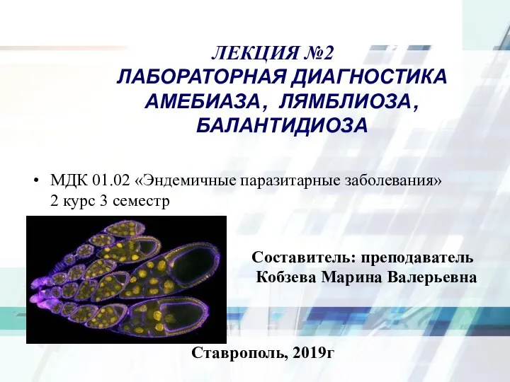 ЛЕКЦИЯ №2 ЛАБОРАТОРНАЯ ДИАГНОСТИКА АМЕБИАЗА, ЛЯМБЛИОЗА, БАЛАНТИДИОЗА МДК 01.02 «Эндемичные паразитарные