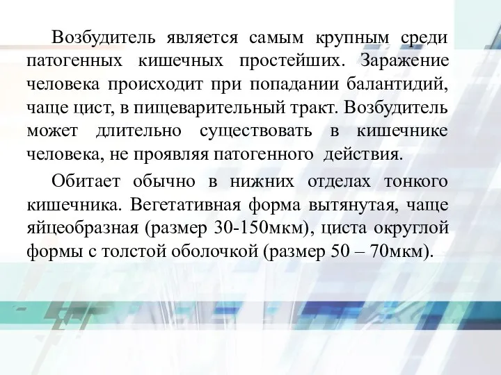 Возбудитель является самым крупным среди патогенных кишечных простейших. Заражение человека происходит