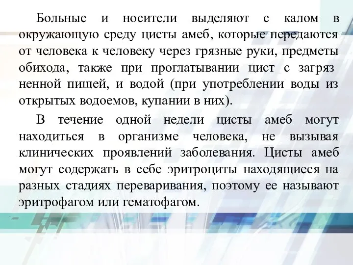 Больные и носители выделяют с калом в окружающую среду цисты амеб,