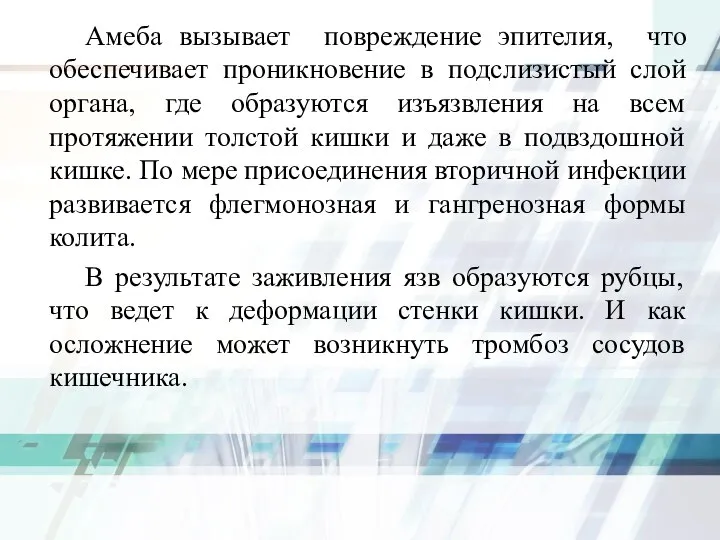 Амеба вызывает повреждение эпителия, что обеспечивает проникновение в подслизистый слой органа,