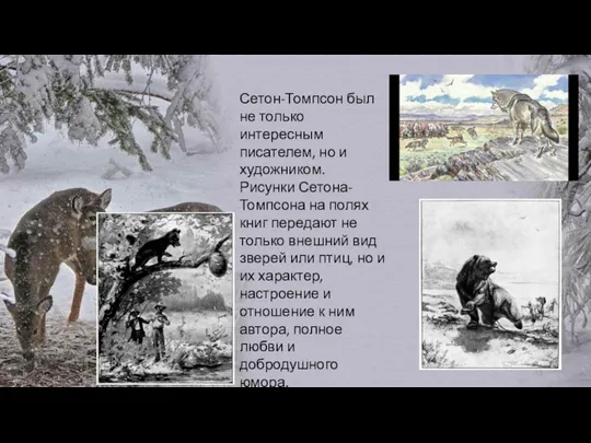 Сетон-Томпсон был не только интересным писателем, но и художником. Рисунки Сетона-Томпсона