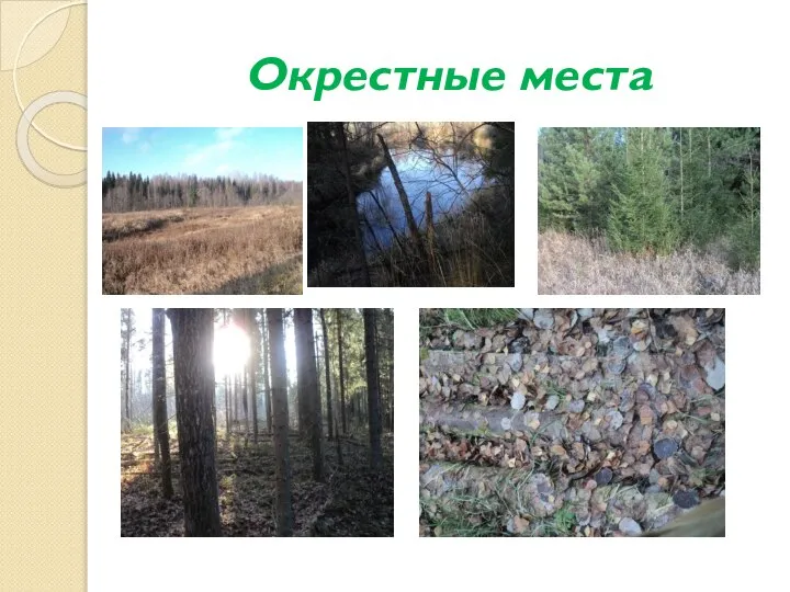 Окрестные места