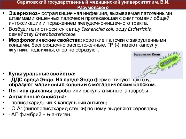 Эшерихиоз– острая кишечная инфекция, вызываемая патогенными штаммами кишечных палочек и протекающая