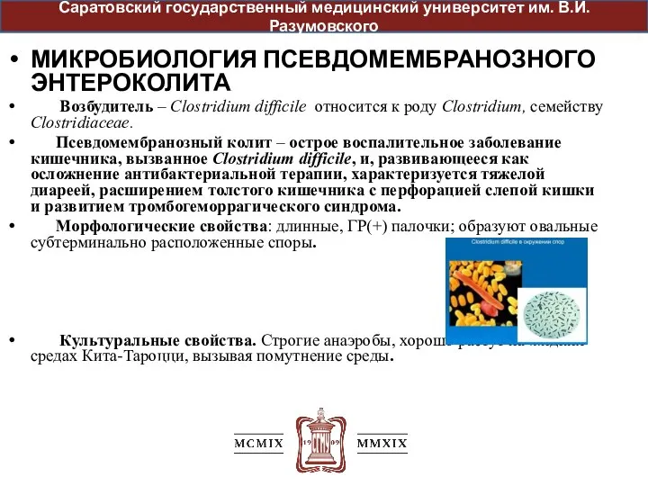 МИКРОБИОЛОГИЯ ПСЕВДОМЕМБРАНОЗНОГО ЭНТЕРОКОЛИТА Возбудитель – Clostridium difficile относится к роду Clostridium,