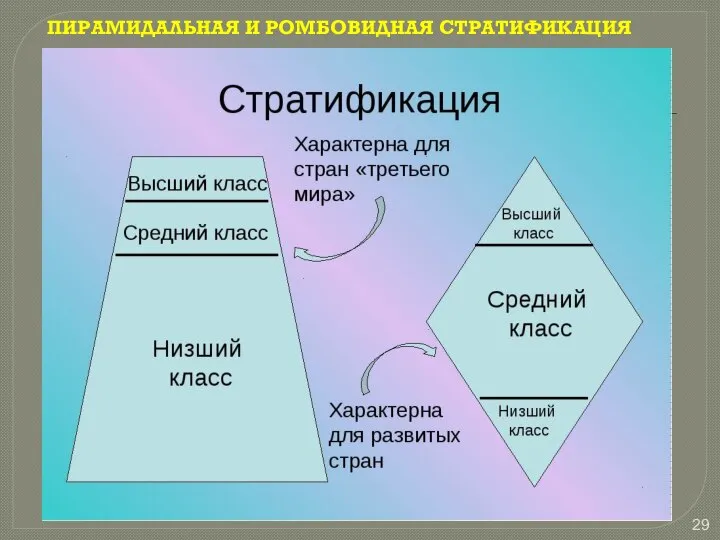 ПИРАМИДАЛЬНАЯ И РОМБОВИДНАЯ СТРАТИФИКАЦИЯ