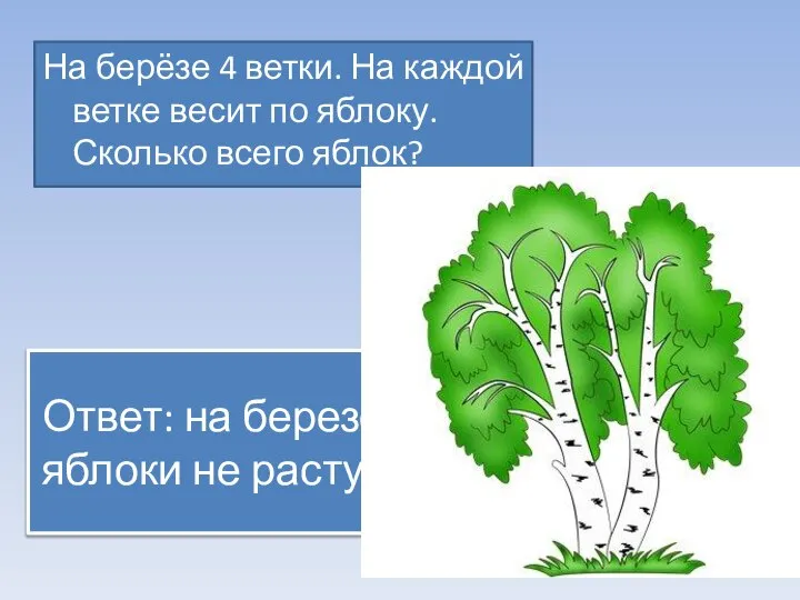 Ответ: на березе яблоки не растут На берёзе 4 ветки. На