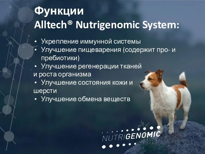 Функции Alltech® Nutrigenomic System: Укрепление иммунной системы Улучшение пищеварения (содержит про-