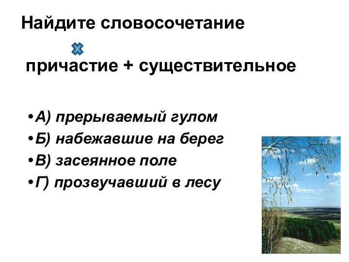 А) прерываемый гулом Б) набежавшие на берег В) засеянное поле Г)