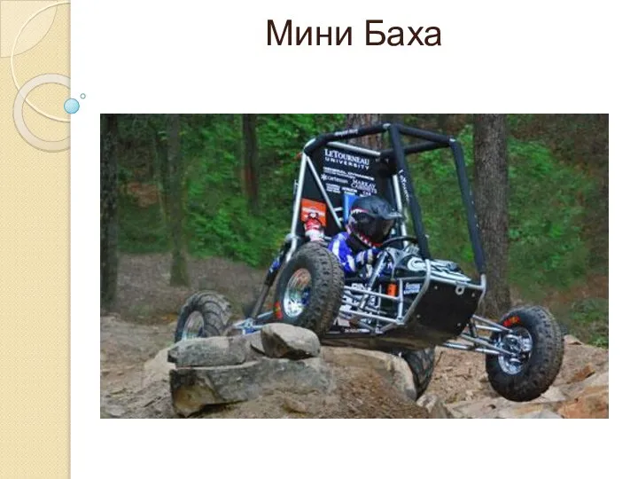 Мини Баха