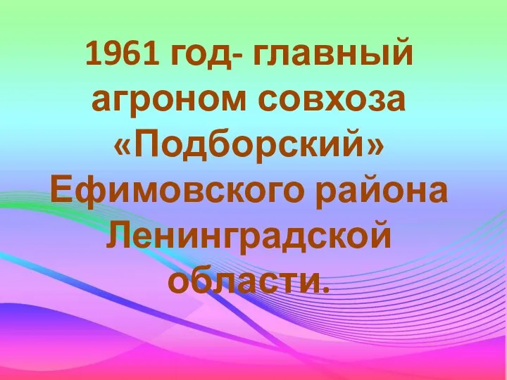 1961 год- главный агроном совхоза «Подборский» Ефимовского района Ленинградской области.