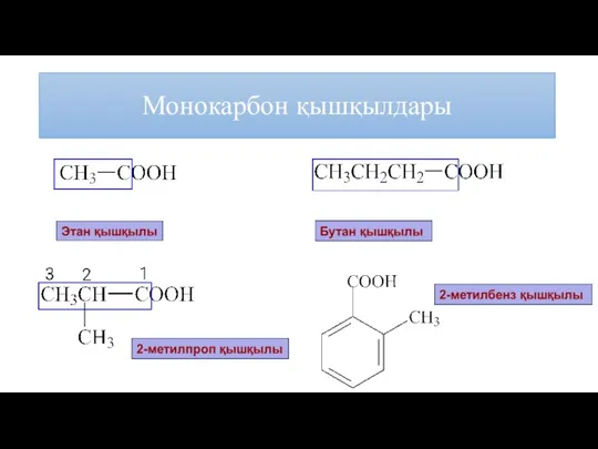 Монокарбон қышқылдары