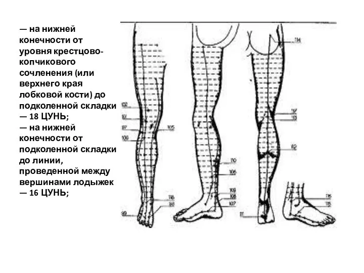 В последние десятилетия наряду с индивидуальным цунем — на нижней конечности