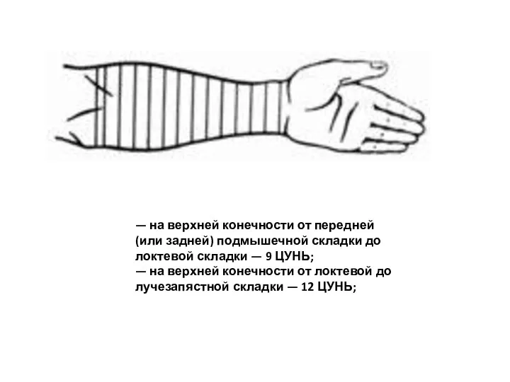 — на верхней конечности от передней (или задней) подмышечной складки до