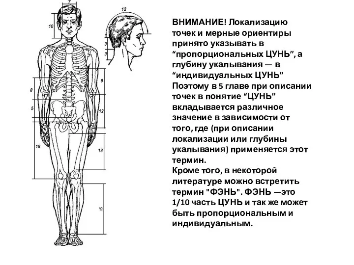 ВНИМАНИЕ! Локализацию точек и мерные ориентиры принято указывать в “пропорциональных ЦУНЬ”,