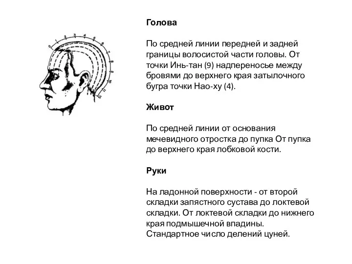 Голова По средней линии передней и задней границы волосистой части головы.
