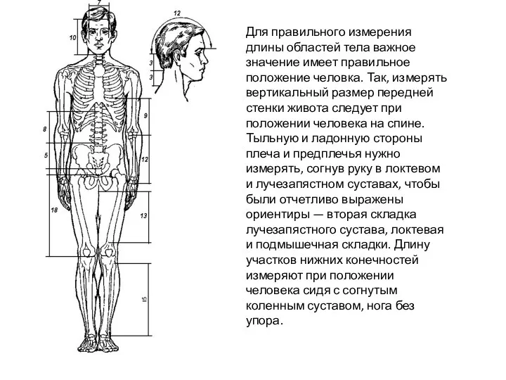 Для правильного измерения длины областей тела важное значение имеет правильное положение