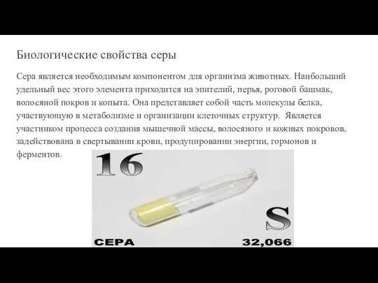 Биологические свойства серы Сера является необходимым компонентом для организма животных. Наибольший