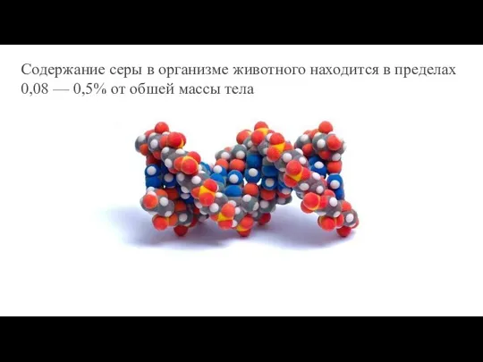 Содержание серы в организме животного находится в пределах 0,08 — 0,5% от общей массы тела