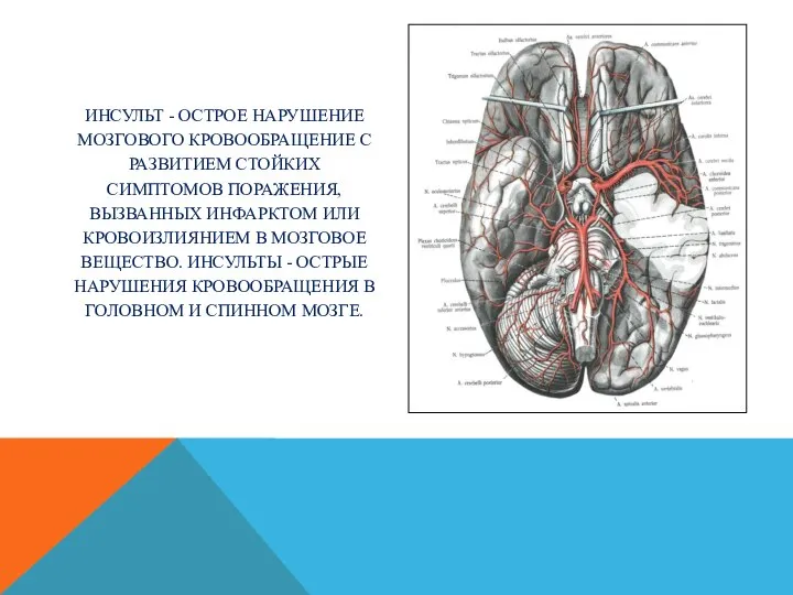 ИНСУЛЬТ - ОСТРОЕ НАРУШЕНИЕ МОЗГОВОГО КРОВООБРАЩЕНИЕ С РАЗВИТИЕМ СТОЙКИХ СИМПТОМОВ ПОРАЖЕНИЯ,