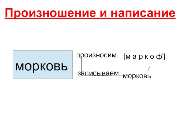 произносим записываем [м а р к о ф'] морковь морковь Произношение и написание