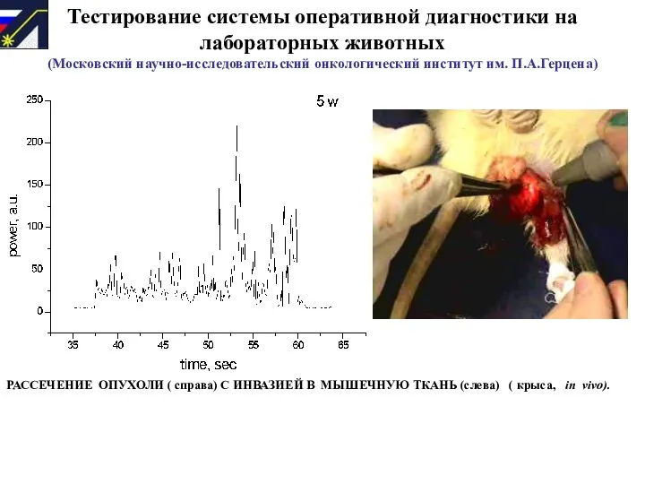 Тестирование системы оперативной диагностики на лабораторных животных (Московский научно-исследовательский онкологический институт