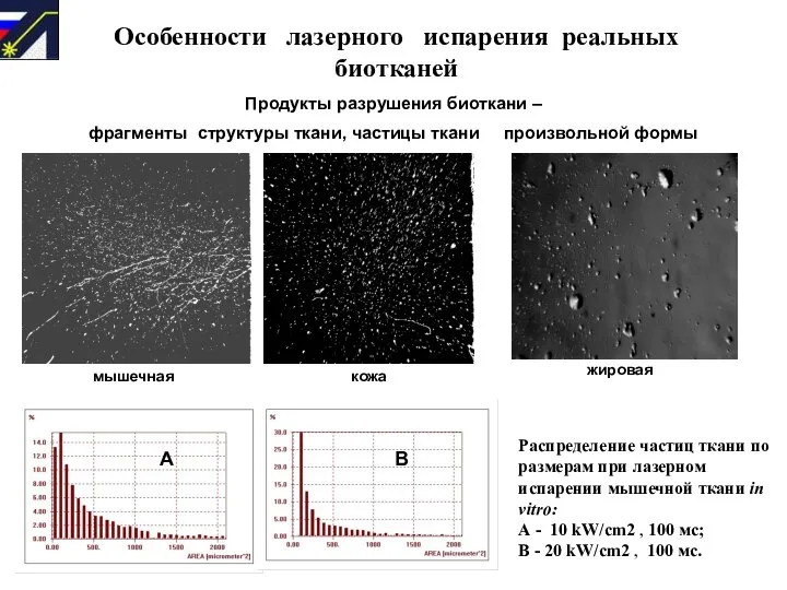 Особенности лазерного испарения реальных биотканей Продукты разрушения биоткани – фрагменты структуры