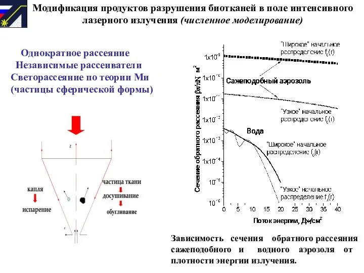 Модификация продуктов разрушения биотканей в поле интенсивного лазерного излучения (численное моделирование)