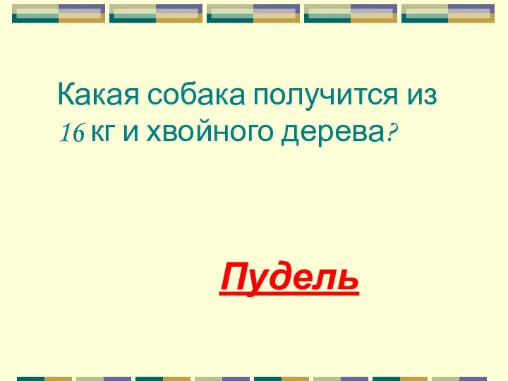 Какая собака получится из 16 кг и хвойного дерева? Пудель