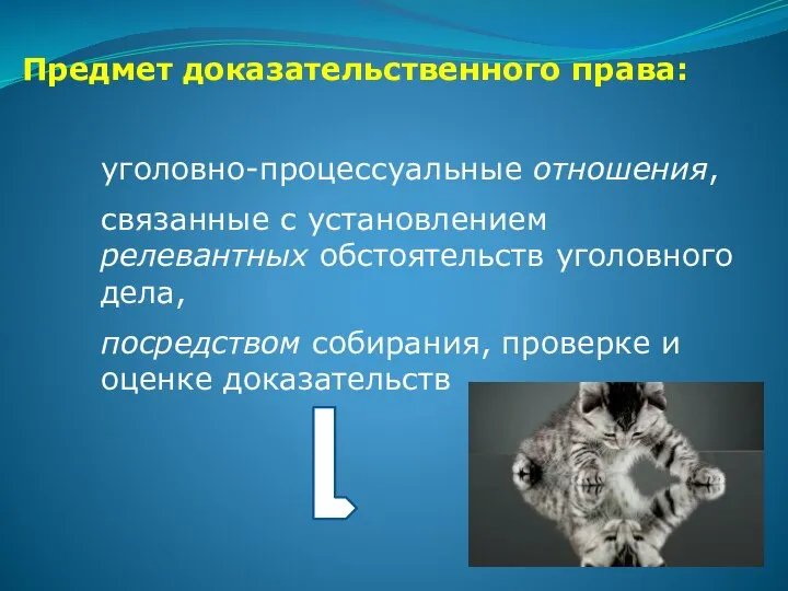 Предмет доказательственного права: уголовно-процессуальные отношения, связанные с установлением релевантных обстоятельств уголовного