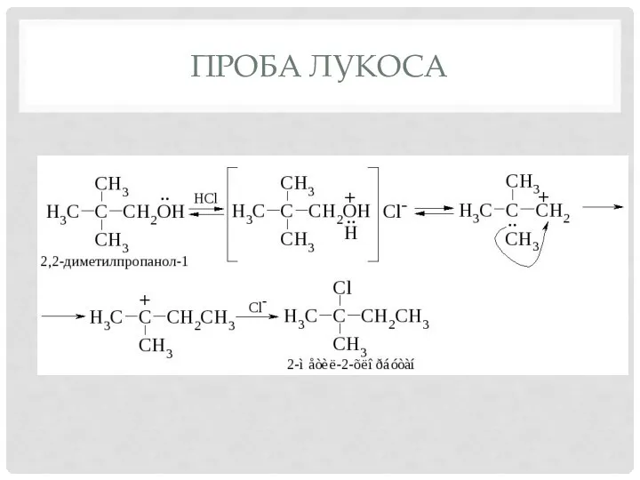 ПРОБА ЛУКОСА