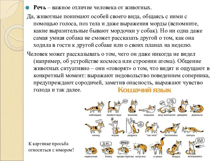 Речь – важное отличие человека от животных. Да, животные понимают особей