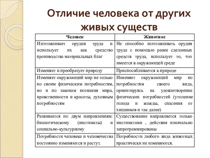 Отличие человека от других живых существ