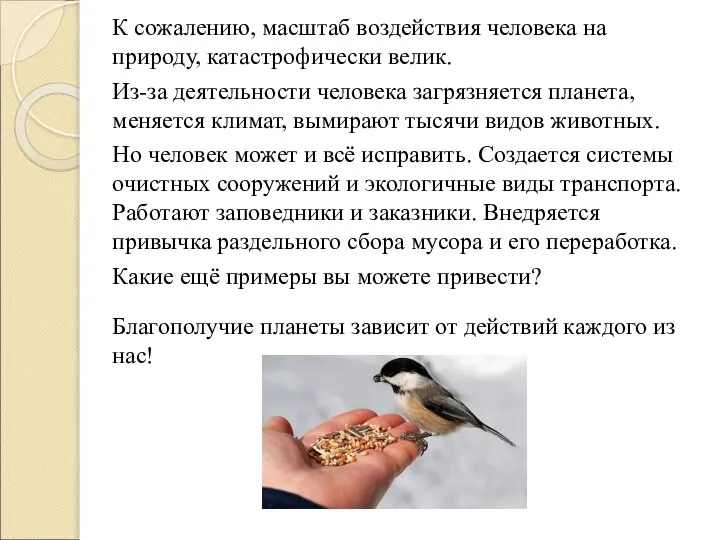 К сожалению, масштаб воздействия человека на природу, катастрофически велик. Из-за деятельности