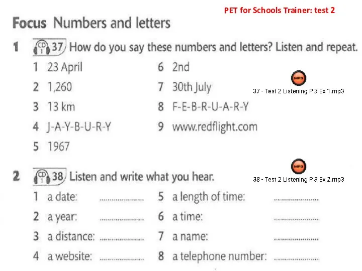 PET for Schools Trainer: test 2