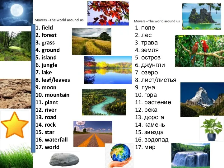 1. field 2. forest 3. grass 4. ground 5. island 6.