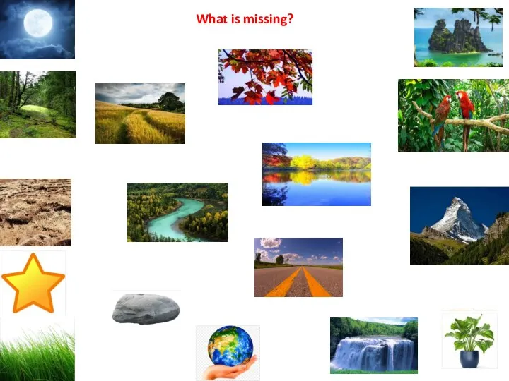 What is missing?