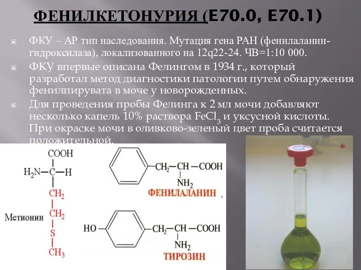 ФЕНИЛКЕТОНУРИЯ (E70.0, E70.1) ФКУ – АР тип наследования. Мутация гена РАН