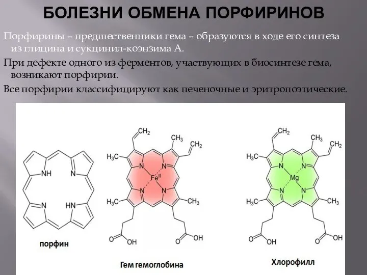 БОЛЕЗНИ ОБМЕНА ПОРФИРИНОВ Порфирины – предшественники гема – образуются в ходе