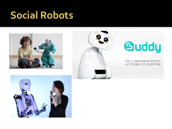 Social Robots